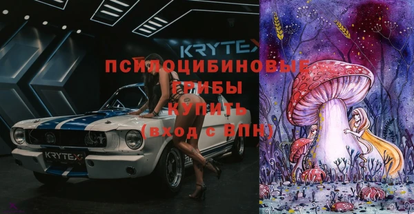 гидропоника Абаза