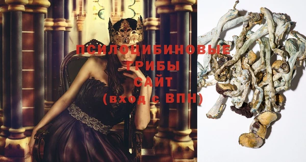 скорость Алексеевка
