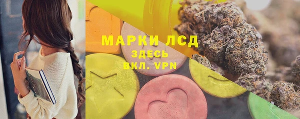 бошки Алексин
